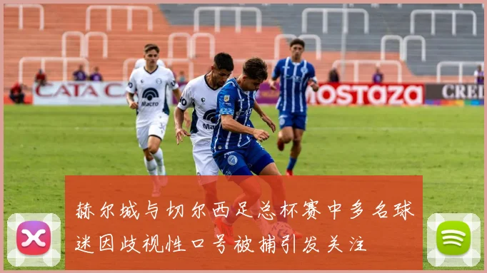 赫尔城与切尔西足总杯赛中多名球迷因歧视性口号被捕引发关注