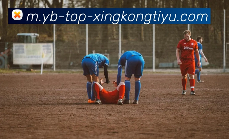 星空体育APP 高清赛事图